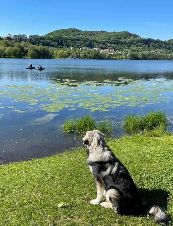 Willa Altravista Tarzo Revine Lago Zewnętrze zdjęcie